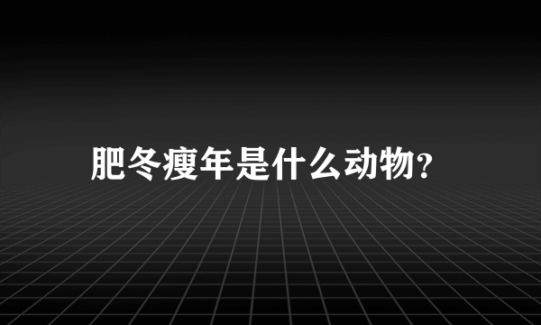 肥冬瘦年是什么动物？