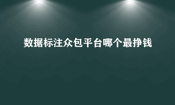 数据标注众包平台哪个最挣钱