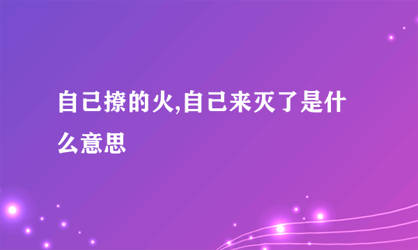 自己撩的火,自己来灭了是什么意思