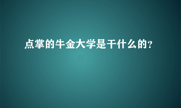 点掌的牛金大学是干什么的？