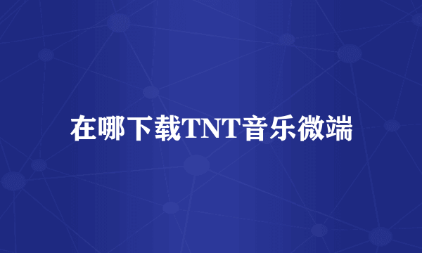 在哪下载TNT音乐微端