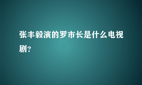 张丰毅演的罗市长是什么电视剧？