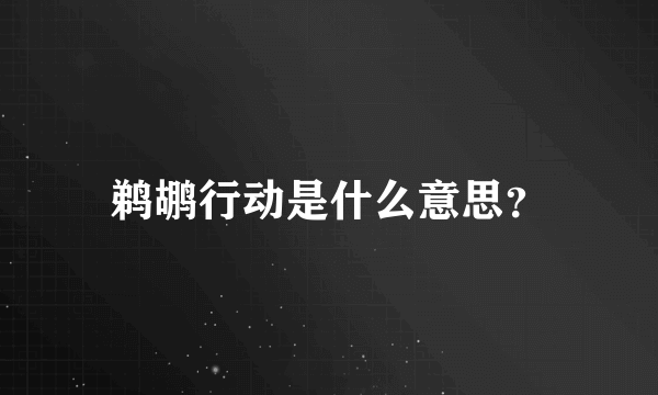 鹈鹕行动是什么意思？