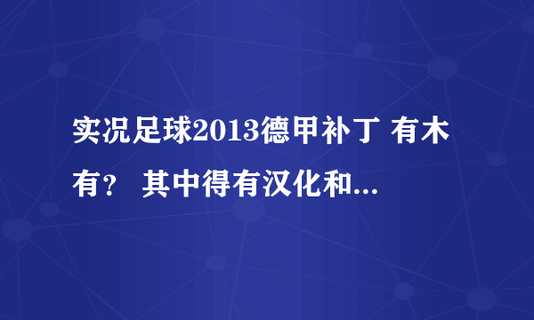 实况足球2013德甲补丁 有木有？ 其中得有汉化和最新转会的 求指教！