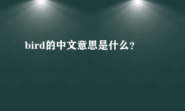 bird的中文意思是什么？