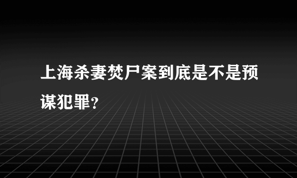 上海杀妻焚尸案到底是不是预谋犯罪？