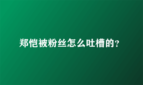 郑恺被粉丝怎么吐槽的？