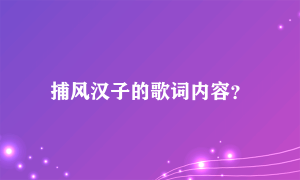 捕风汉子的歌词内容？