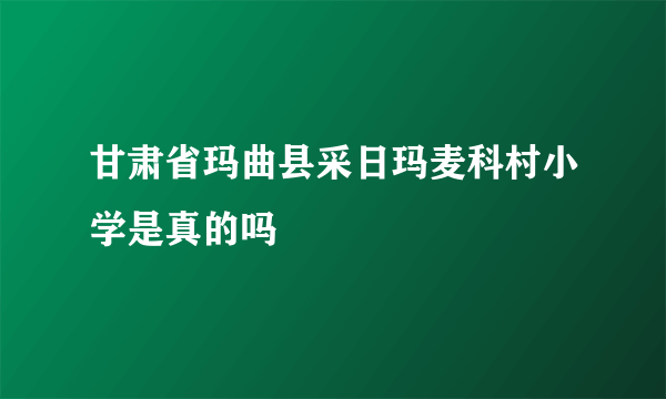 甘肃省玛曲县采日玛麦科村小学是真的吗