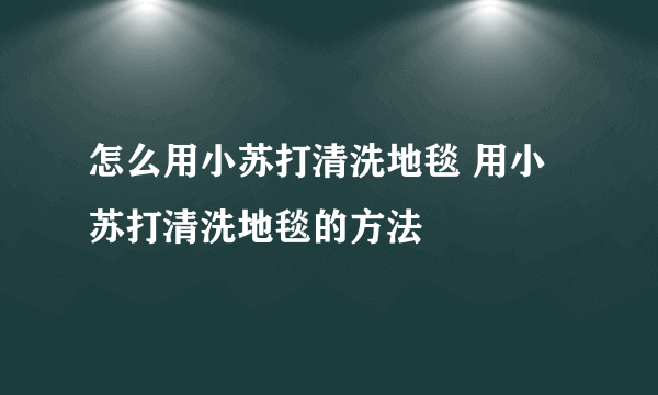 怎么用小苏打清洗地毯 用小苏打清洗地毯的方法