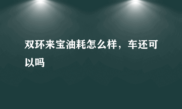 双环来宝油耗怎么样，车还可以吗