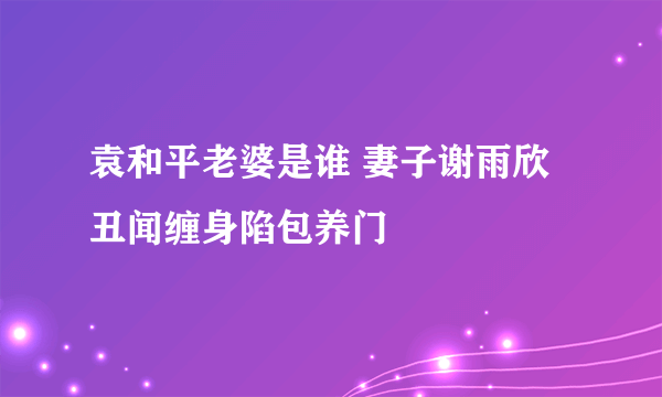 袁和平老婆是谁 妻子谢雨欣丑闻缠身陷包养门