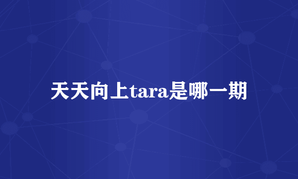 天天向上tara是哪一期