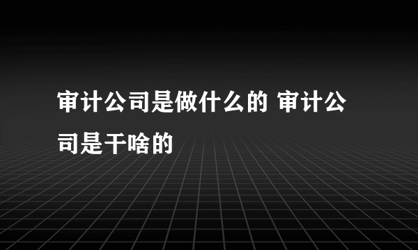 审计公司是做什么的 审计公司是干啥的