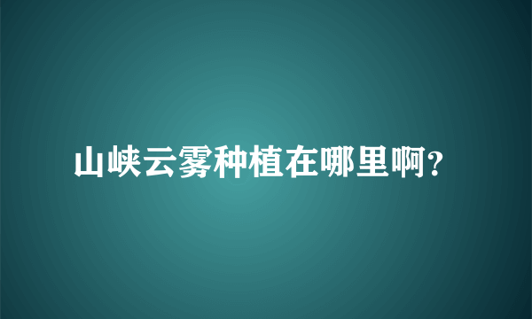 山峡云雾种植在哪里啊？