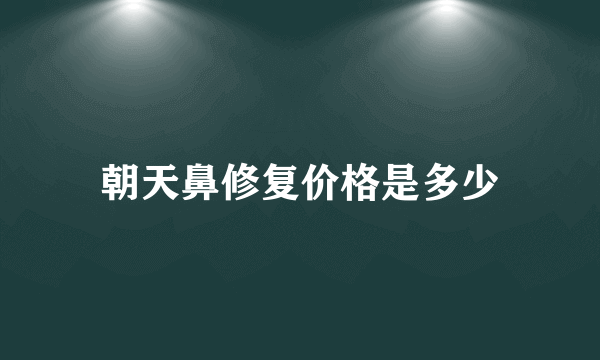 朝天鼻修复价格是多少