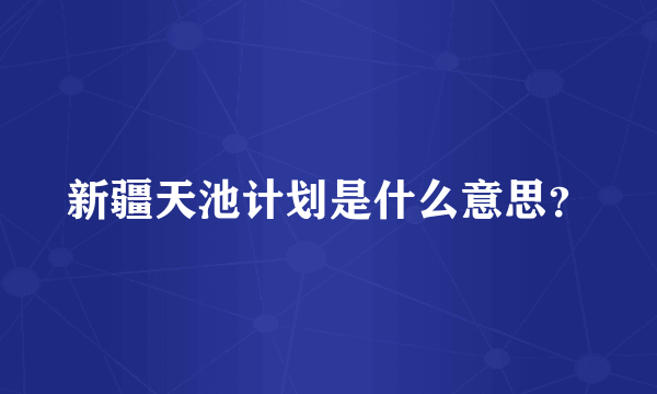 新疆天池计划是什么意思？