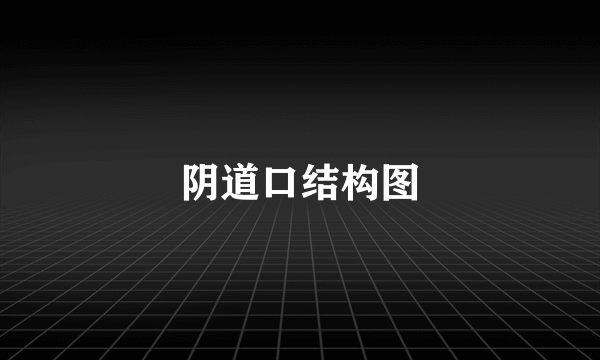 阴道口结构图