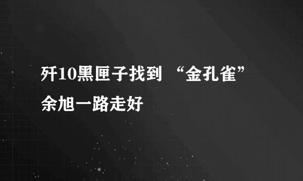 歼10黑匣子找到 “金孔雀”余旭一路走好