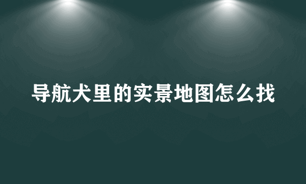 导航犬里的实景地图怎么找