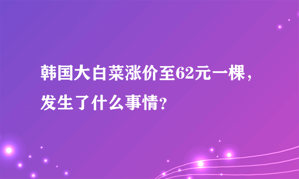 韩国大白菜涨价至62元一棵，发生了什么事情？