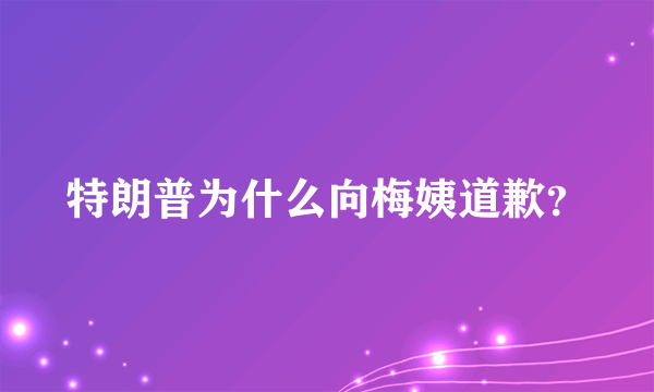 特朗普为什么向梅姨道歉？