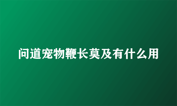 问道宠物鞭长莫及有什么用