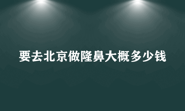 要去北京做隆鼻大概多少钱