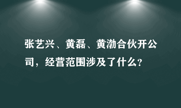 张艺兴、黄磊、黄渤合伙开公司，经营范围涉及了什么？