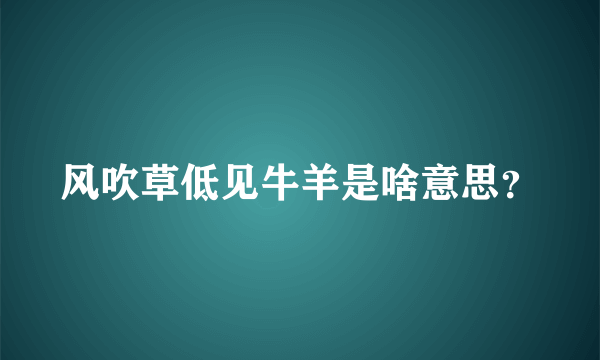 风吹草低见牛羊是啥意思？