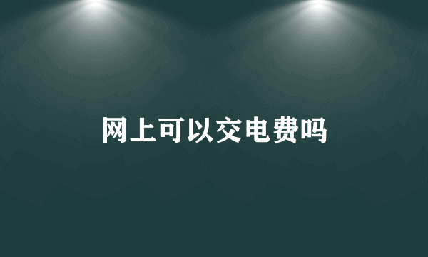 网上可以交电费吗