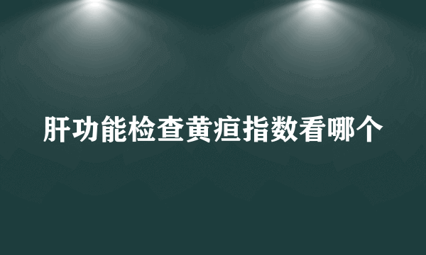 肝功能检查黄疸指数看哪个