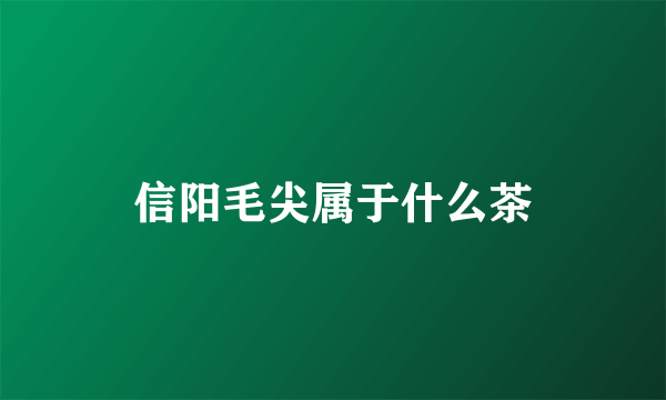 信阳毛尖属于什么茶