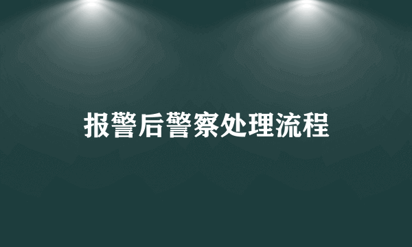 报警后警察处理流程