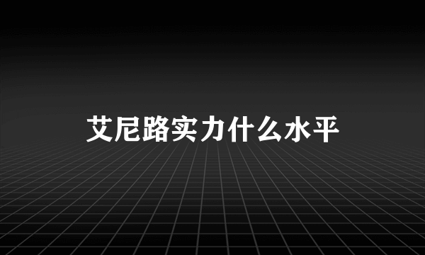 艾尼路实力什么水平