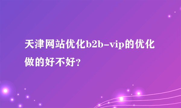 天津网站优化b2b-vip的优化做的好不好？