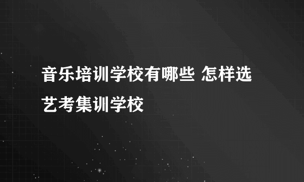 音乐培训学校有哪些 怎样选艺考集训学校