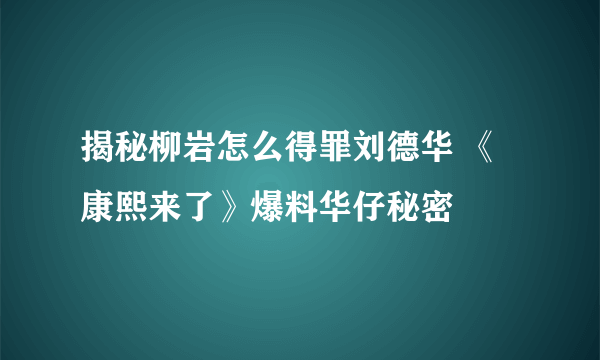 揭秘柳岩怎么得罪刘德华 《康熙来了》爆料华仔秘密