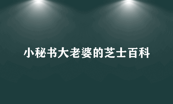 小秘书大老婆的芝士百科