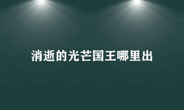 消逝的光芒国王哪里出