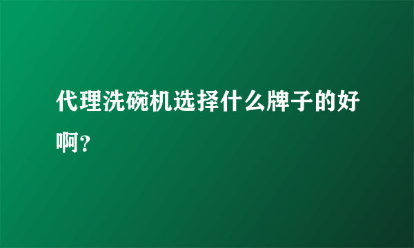 代理洗碗机选择什么牌子的好啊？