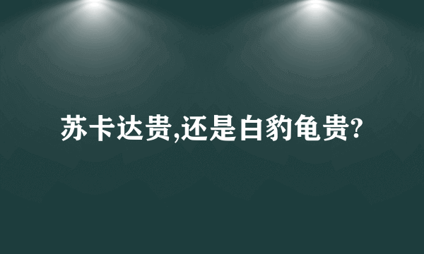 苏卡达贵,还是白豹龟贵?