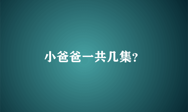 小爸爸一共几集？