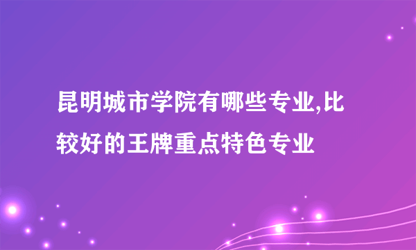 昆明城市学院有哪些专业,比较好的王牌重点特色专业