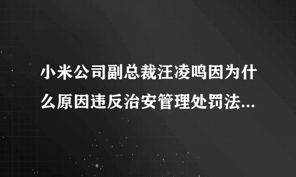 小米公司副总裁汪凌鸣因为什么原因违反治安管理处罚法，而被小米公司辞退？