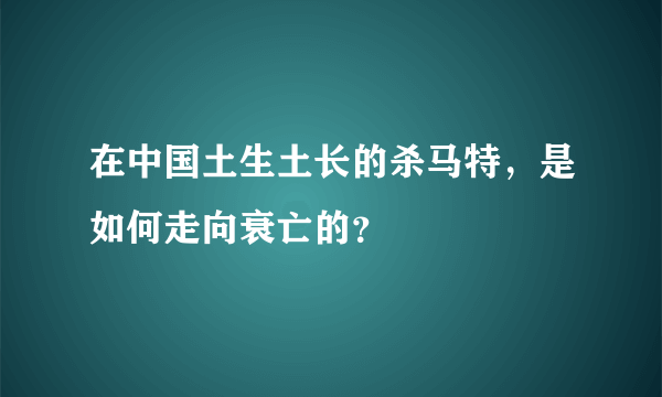 在中国土生土长的杀马特，是如何走向衰亡的？