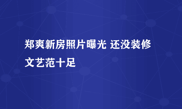 郑爽新房照片曝光 还没装修文艺范十足