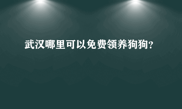 武汉哪里可以免费领养狗狗？