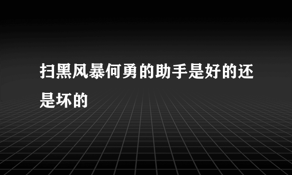 扫黑风暴何勇的助手是好的还是坏的