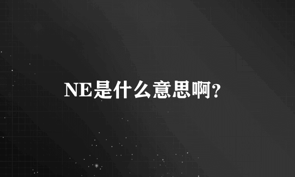 NE是什么意思啊？